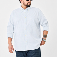 Light Blue Striped Shirt